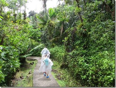 Puerto Rico (89)