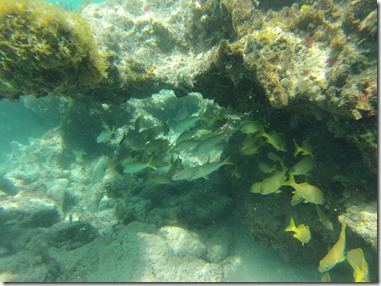 USVI (15)