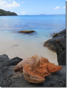 USVI (199)