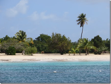 Vieques (10)