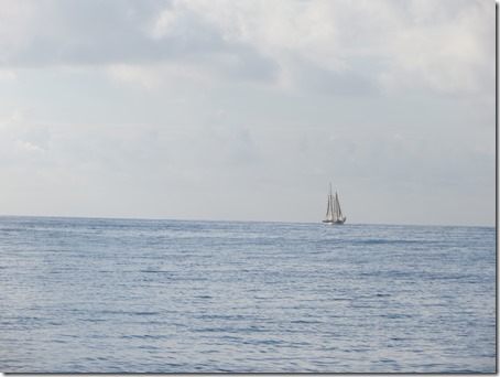Vieques (119)