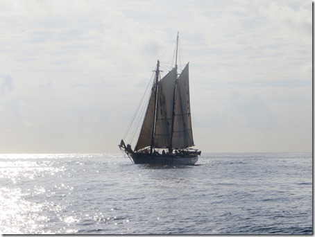 Vieques (122)