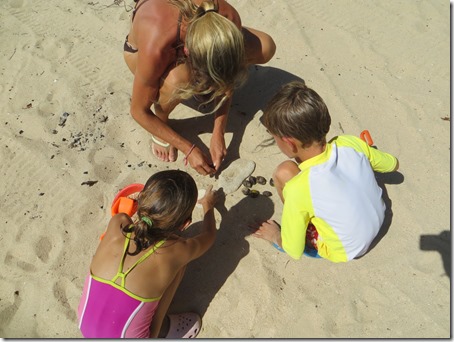 Vieques (29)