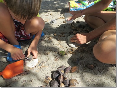 Vieques (36)