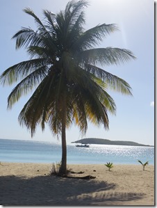 Vieques (48)