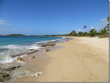 Vieques (64)