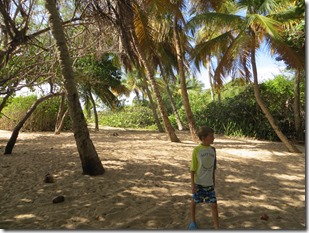 Vieques (68)