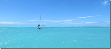 BVI (183)