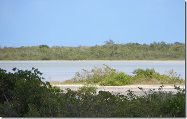 BVI (218)
