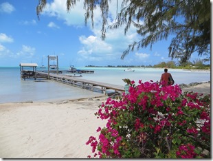 BVI (243)