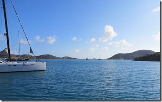 BVI (262)