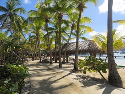BVI (292)