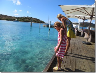 BVI (305)
