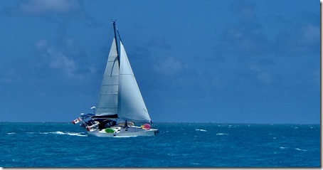 BVI (316)