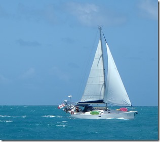 BVI (317)
