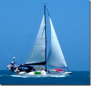 BVI (318)