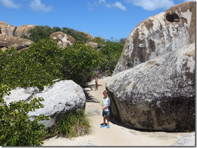 BVI (62)