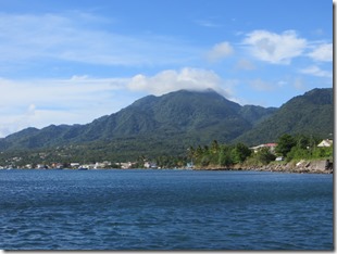 Dominique (7)
