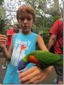 Guadeloupe (130)