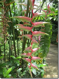 Guadeloupe (206)