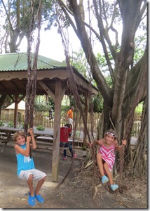 Guadeloupe (222)