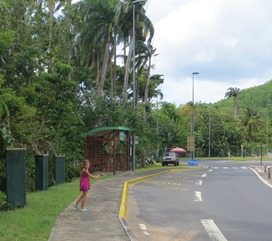 Guadeloupe (79)