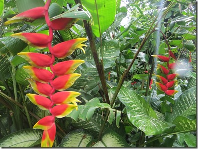 Guadeloupe (94)