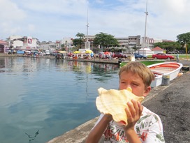 Guateloupe (6)