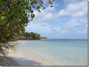 Martinique (206)