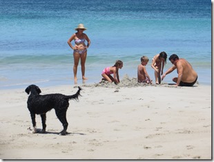 Martinique (221)