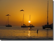 BVI (126)