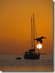 BVI (128)
