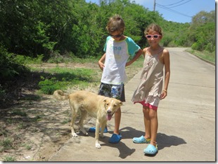 Mayreau (51)