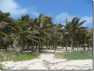 Mayreau (69)