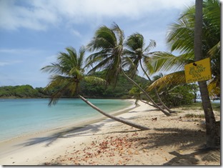 Mayreau (73)