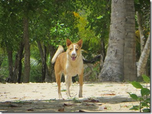 Mayreau (75)