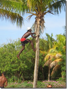 Mayreau (88)