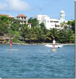 Prickly Bay (33)