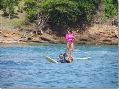 Prickly Bay (37)