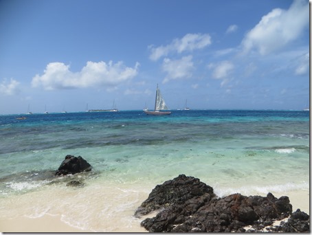 Tobago Cays (17)