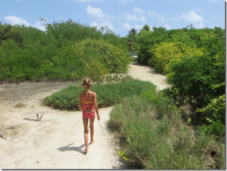 Tobago Cays (22)