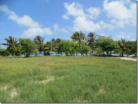 Tobago Cays (24)