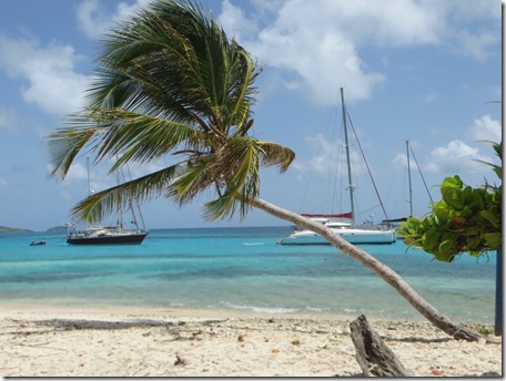 Tobago Cays (30)