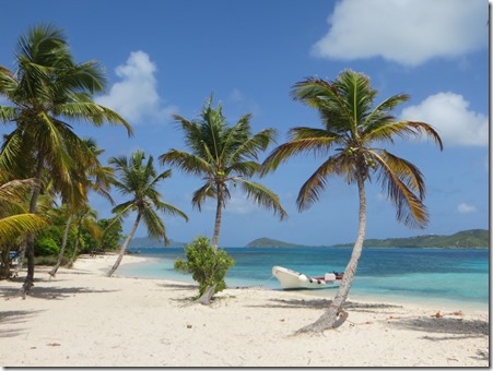 Tobago Cays (31)
