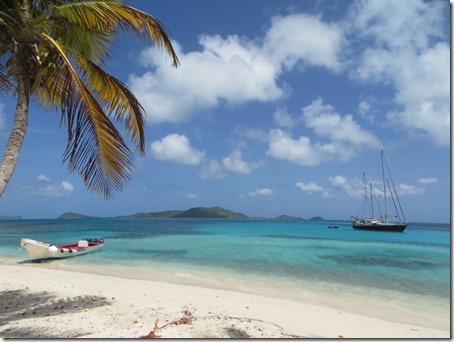 Tobago Cays (32)
