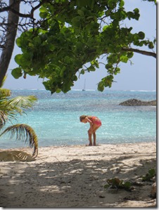 Tobago Cays (33)