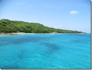 Tobago Cays (47)