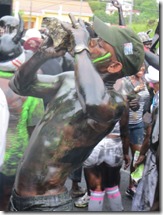 Carnaval (55)