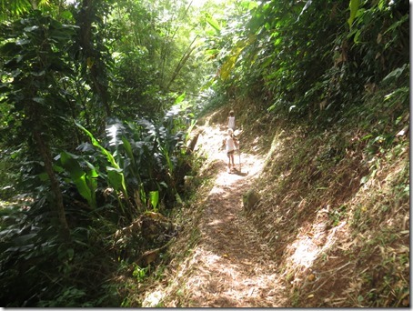 Seven Sister Falls (11)