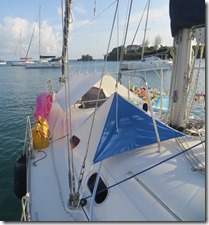 True Blue (237)